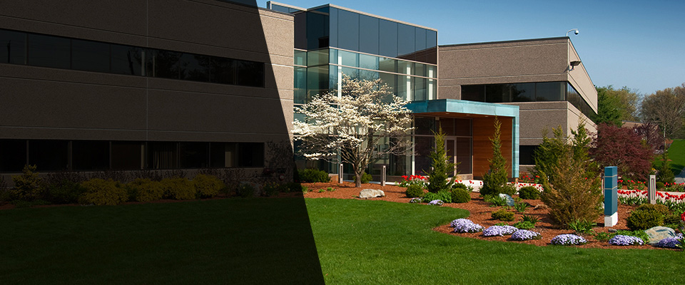 Spring Hill Landscapers